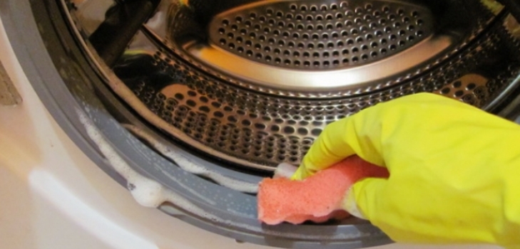 Interesante Formular tienda Como limpiar la goma de la lavadora paso a paso🥇